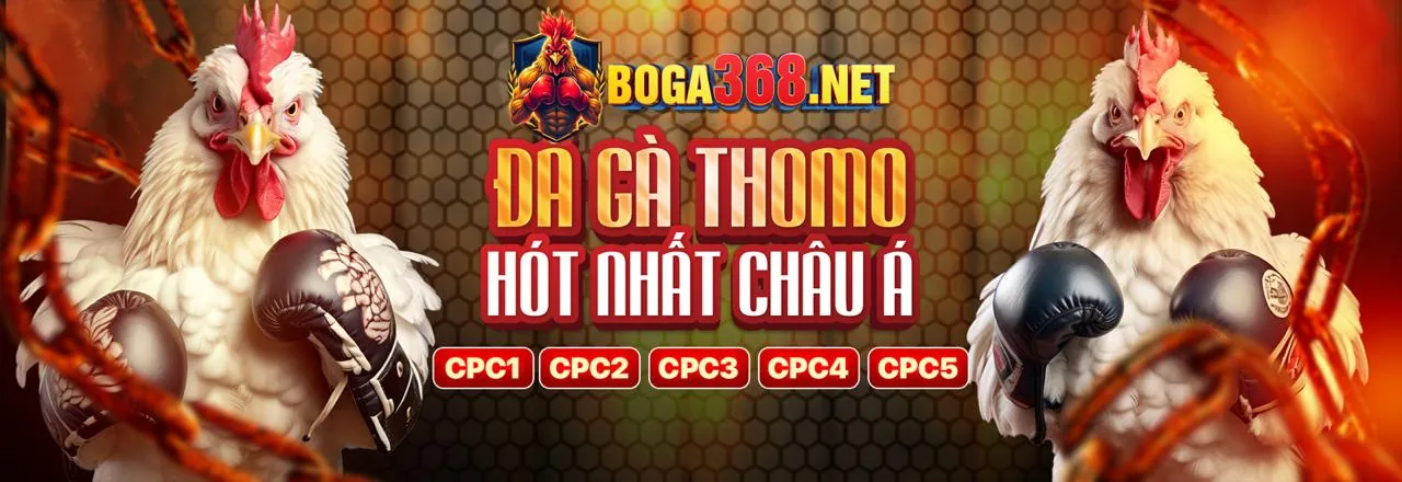 Chương trình Đối tác 66vn: Cơ hội hợp tác thành công